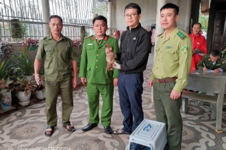 Vườn quốc gia Phong Nha - Kẻ Bàng cứu hộ hai cá thể khỉ quý hiếm